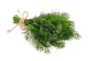 DILL